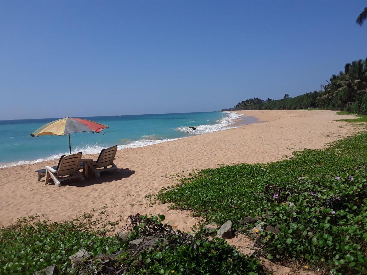بينتوتا Gold Sand Resort المظهر الخارجي الصورة