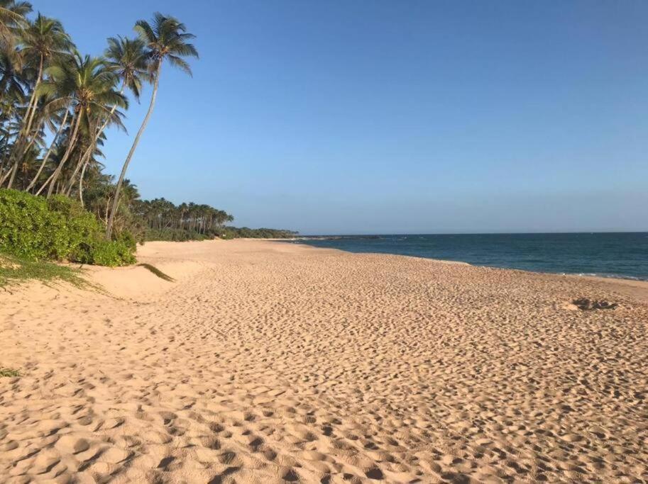 بينتوتا Gold Sand Resort المظهر الخارجي الصورة